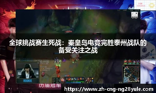 南宫28(NG28)官方网站